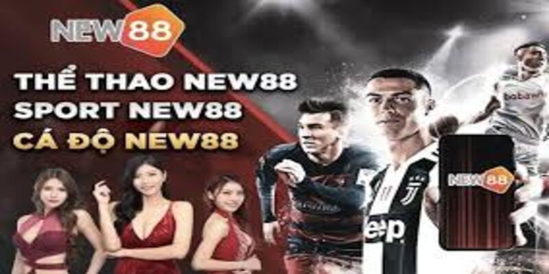 Sảnh thể thao New88